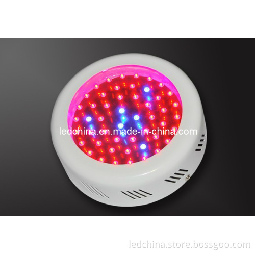 50W Round Shape Red & Blue LED Grow Light